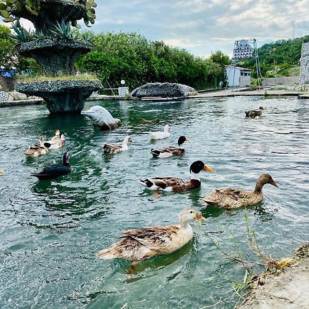 Kompleksi Turistik Dea Mjede 外观 照片