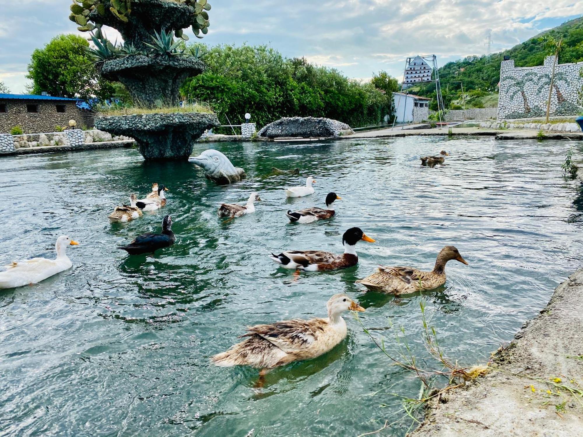 Kompleksi Turistik Dea Mjede 外观 照片